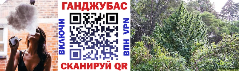 Как найти наркотики Солнечногорск Конопля  A-PVP  ТГК  Гашиш 