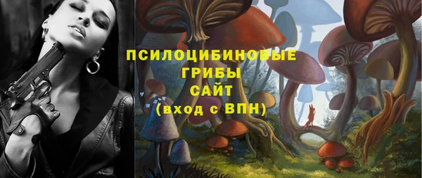 бошки Алексеевка