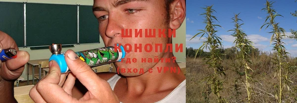 бошки Алексеевка