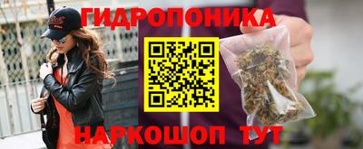 spice Северобайкальск