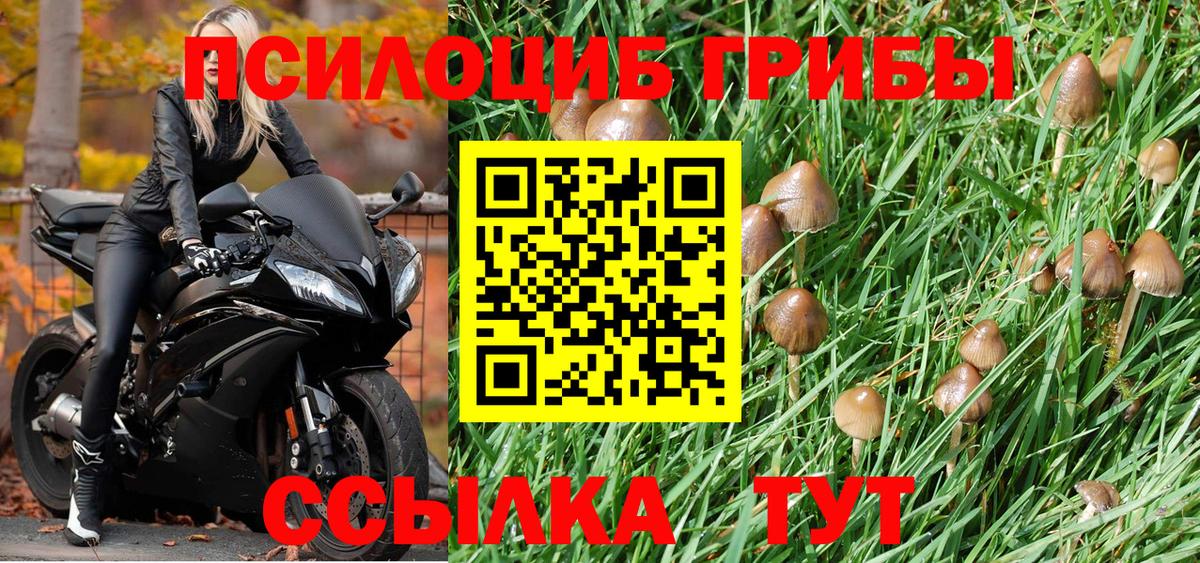 Псилоцибиновые грибы мухоморы  Вход с VPN  Галлюциногенные грибы Psilocybine cubensis  Солнечногорск 