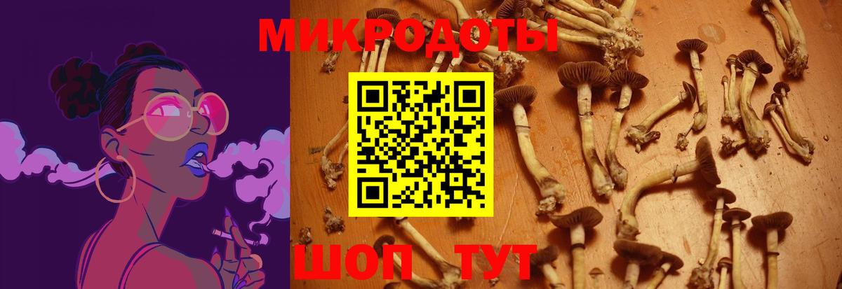 Галлюциногенные грибы Cubensis Солнечногорск